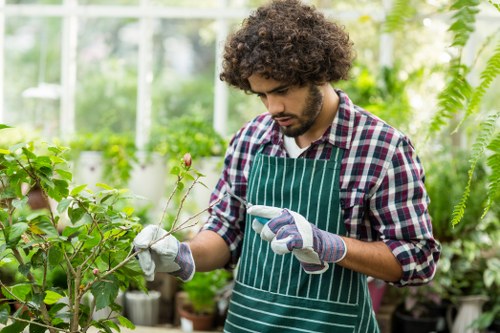 A young man with curly dark hair, wearing a green and white striped apron over a checkered shirt and gardening gloves, carefully examines a small flowering plant with light pink blossoms in a well-lit greenhouse. The background features lush green foliage, including ferns and other potted plants, with a clear glass ceiling allowing natural sunlight to illuminate the space. The greenhouse environment showcases a variety of healthy, vibrant plants arranged along shelves and tables, typical of professional gardening or horticultural work in the Harrow area, reflecting a focus on plant growth and outdoor space improvement. The scene emphasizes attentive plant care, supporting gardening services provided by companies like Landscapers Harrow, with a natural and professional outdoor setting.