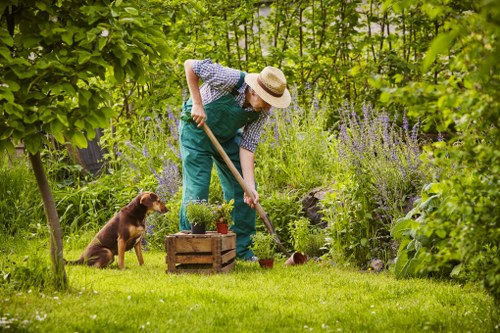 A gardener wearing a straw hat, blue apron, and checkered shirt is tending to a lush, green garden in Harrow, with a variety of plants, shrubs, and flowers surrounding her. She is using a small garden trowel to work into the soil of a flower bed, which is bordered by a wooden crate filled with potted plants. The lawn is well-maintained with dense, vibrant grass in the foreground, and mature trees and tall flowering plants, including purple lavender, are visible behind her, creating a natural and peaceful outdoor setting. A brown dog sits attentively nearby, observing the gardener’s activities. The scene is illuminated by natural daylight, suggesting a clear day, and the garden layout includes patchy soil, stone edging, and wooden decking, characteristic of a landscaped yard in the Harrow area. This image exemplifies outdoor gardening and planting services offered by Landscapers Harrow, highlighting a well-maintained, diverse garden space suitable for professional landscaping and gardening projects in the local area.