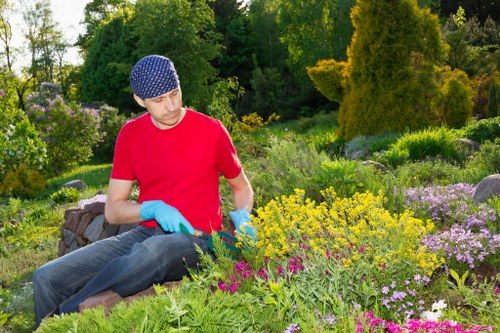 A man wearing a red t-shirt, a blue patterned cap, and light blue gloves is working in a landscaped garden near Harrow, with a variety of flowering plants, shrubs, and small trees. The garden features lush green grass, colorful flower borders with pink, purple, and yellow blooms, and neatly maintained planting beds. In the background, there are tall trees and dense foliage under a partly cloudy sky, creating a vibrant outdoor environment suitable for gardening and landscape maintenance. The scene reflects outdoor lawn and plant care activities typical of professional gardening services offered by Landscapers Harrow, emphasizing attention to detail in natural landscaping. The overall setting appears well-maintained and sunny, highlighting the outdoor space’s natural beauty and horticultural design, ideal for garden enhancement and landscaping projects in Middlesex.