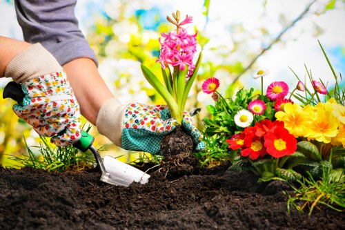 A gardener wearing multicoloured protective gloves is planting a pink hyacinth flower into rich, dark soil in a landscaped outdoor garden. To the right, there is a bed of colourful flowering plants, including yellow, pink, and white blooms, arranged alongside green foliage and small white daisies, creating a vibrant contrast against the soil. In the background, out-of-focus trees and a bright blue sky suggest a sunny day. The overall scene depicts a well-maintained garden space, likely part of a residential property in Harrow, with lush grass and neatly bordered flower beds, highlighting typical outdoor gardening activities associated with professional landscaping services offered by Landscapers Harrow relating to gardening and sustainable planting practices.