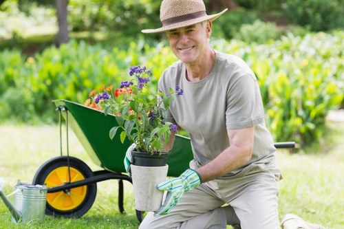A mature man in a wide-brimmed hat and casual gardening attire is kneeling on a well-maintained lawn in a back garden, holding a potted flowering plant with purple, red, and pink blooms. Behind him, a bright green wheelbarrow with a yellow wheel is positioned on the grass, partially filled with garden tools and additional plants. The garden features a lush, dense hedge or row of evergreen shrubs in the background, providing a natural backdrop, and a few mature trees further beyond. The scene is lit by natural daylight, indicating a clear, sunny day, with vibrant greens of the grass and foliage contrasting against the softer tones of the soil and the man's clothing. This outdoor space demonstrates a typical landscaped garden, highlighting lawn care, planting, and maintenance elements common in residential gardening services in Harrow, UK, as seen on landscapersharrow.co.uk.