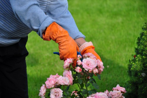 A gardener wearing bright orange gloves is tending to a cluster of pink roses in a well-maintained outdoor garden space. The garden features a lush, evenly cut green lawn in the background, bordered by neatly trimmed hedges and shrubbery. The rose bushes are healthy with dense green foliage, and the flowers display various shades of soft pink. The scene is set outdoors on a clear day, with natural daylight illuminating the vibrant colours of the plants. This landscaped garden area aligns with professional gardening and outdoor maintenance services offered by Landscapers Harrow, serving properties in Harrow and nearby areas, with a focus on garden design, plant care, and lawn improvement within the local community.