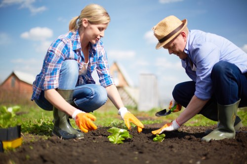 In a well-maintained backyard garden, a young woman and an older man are engaged in planting a small leafy green plant in freshly turned dark soil. The woman, wearing a blue and white checkered shirt, blue jeans, and yellow gardening gloves, is kneeling and gently handling the plant. The man, dressed in a light blue shirt, navy trousers, and a tan straw hat along with green rubber boots, is leaning forward as he assists with planting. The garden features a lush green lawn in the foreground, with a background of a wooden fence, trees, and a partly cloudy blue sky, suggesting a bright, mild day. The scene reflects outdoor gardening activity typical of a residential setting in Harrow, with visible soil beds prepared for planting, emphasizing careful cultivation and landscape care associated with local garden maintenance services provided by Landscapers Harrow, highlighting the importance of professional landscaping for neat and productive gardens.