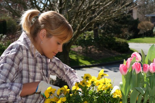 A woman is gardening outdoors in a residential front garden with a mixture of flower beds, including yellow and pink tulips, along with other flowering plants. The garden features neatly maintained grass, a paved pathway, and a backdrop of trees and shrubbery. She is wearing a plaid shirt and gardening gloves, leaning forward to tend to the yellow flowers. The scene is illuminated by natural daylight, suggesting a clear, sunny day, with a gentle breeze evident from the movement of the plants. The background includes a lawn with a shaded area under trees, and the overall setting reflects a well-kept garden space typical of suburban Harrow, with organically arranged plants and a tidy landscape that could benefit from professional gardening services such as trimming, planting, or lawn care provided by Landscapers Harrow.