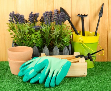 This image depicts a neatly organized garden shed corner with various gardening tools and supplies set against a warm wooden wall. In the foreground, there is a small patch of artificial green turf flooring, providing a clean and stable surface for gardening activities. Behind the turf, several purple-flowered lavender plants are arranged in a row, their vibrant blooms contrasting with the lush green foliage. To the left, there are two stacked terracotta pots, ready for planting, with smooth, rounded surfaces and natural earthy tones. In front of the pots, a pair of bright turquoise rubber gloves rest on a light wooden seed tray, suggesting recent use in garden maintenance. To the right, a yellow plastic bucket contains a pruning shears and a small hand rake, common tools for garden trimming and soil cultivation, all within easy reach. The overall scene is well-lit, indicating natural daylight, and provides a clear view of typical gardening accessories and plant arrangements, characteristic of garden spaces maintained by local landscaping services such as Landscapers Harrow, based near the HA postcode district in Harrow, northwest London.
