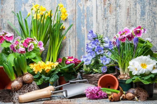 A collection of spring-flowering plants arranged on a weathered wooden surface, featuring vibrant yellow daffodils, pink primroses, purple and blue pansies, and a white primula, all in pots and baskets. The backdrop consists of rustic, distressed blue and gray wooden panels, creating a garden-like ambiance. Gardening tools, including a trowel and rake, are placed among the plants, along with loose bulbs and soil, suggesting recent planting activity. The scene reflects a well-maintained outdoor space suitable for gardening and landscaping services in Harrow, emphasizing seasonal planting and outdoor garden care with natural tones and a bright, inviting atmosphere.
